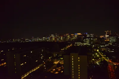 DSC_3599 (Large).JPG